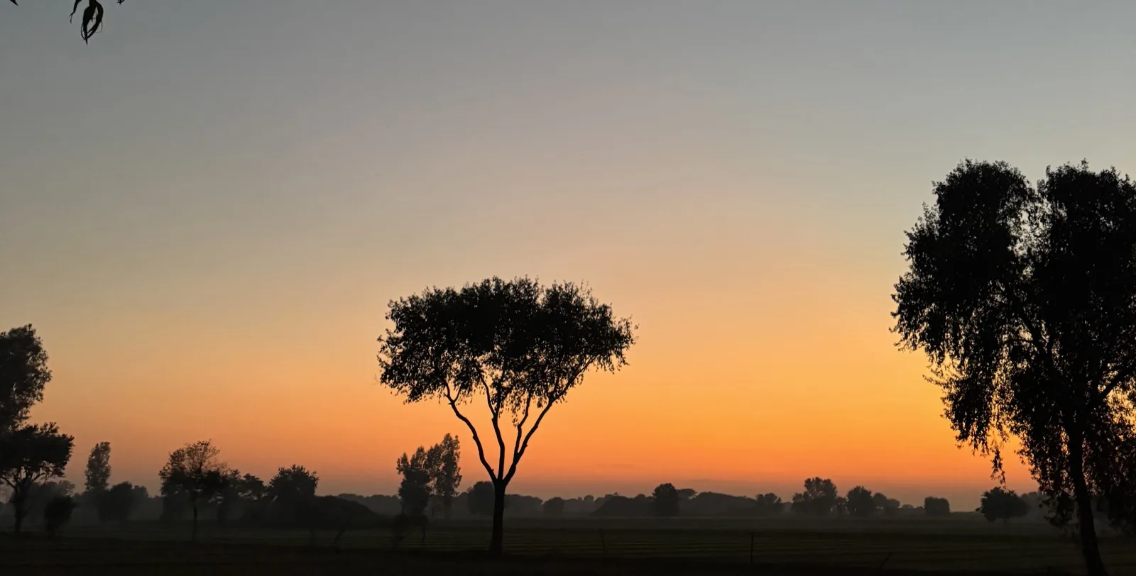 Sunset Person